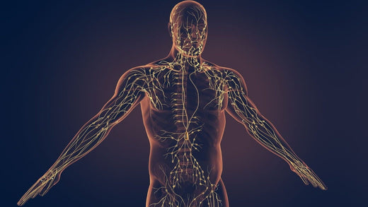 Exercise and Lymphatic Health: How Movement Aids Drainage