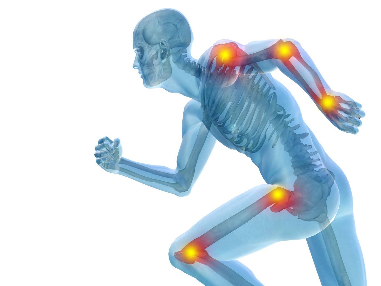 The Anatomy of a Joint: How Joints Work and Why They Hurt